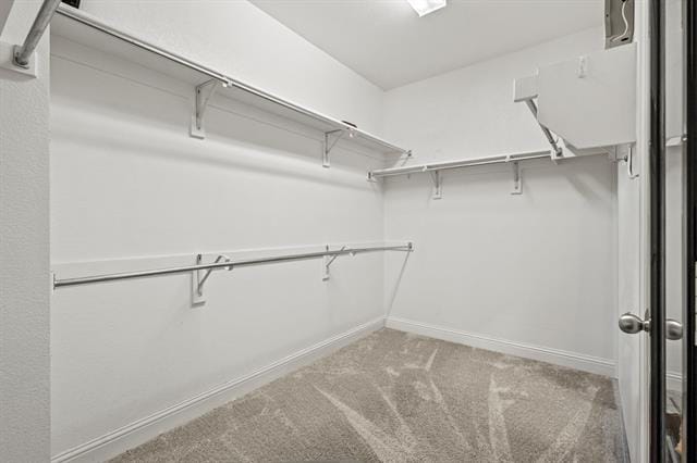 Building Photo - 1036 Edgefield Lane
