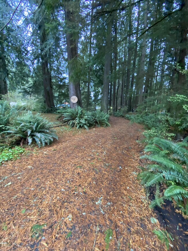 Building Photo - 31 SW Lake Roesiger Rd