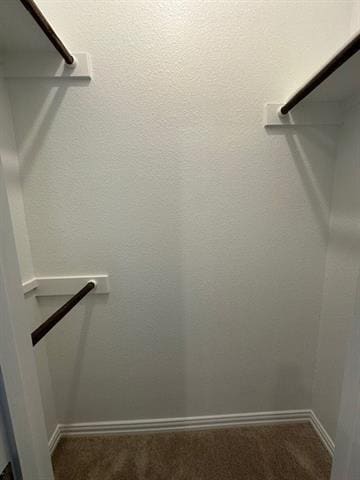 Building Photo - 3205 Kiskadee Ct