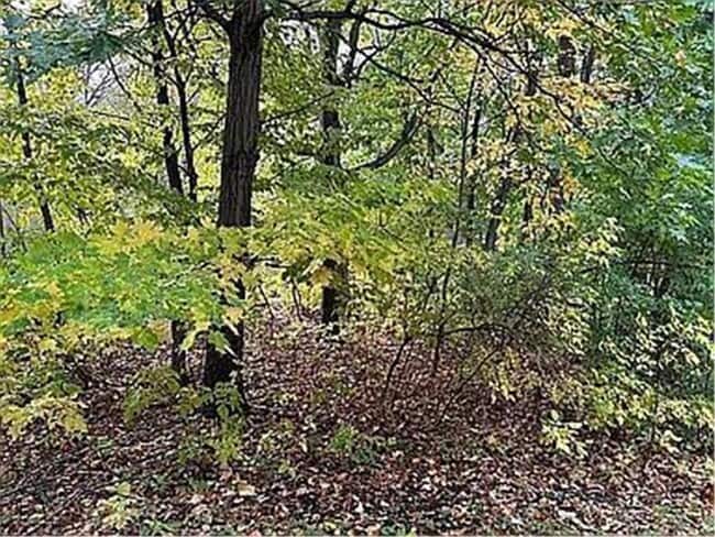 Building Photo - 7783 Kingsview Ln N