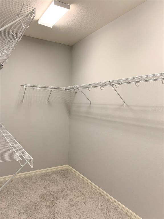 Building Photo - 1073 Amber Leaf Trl