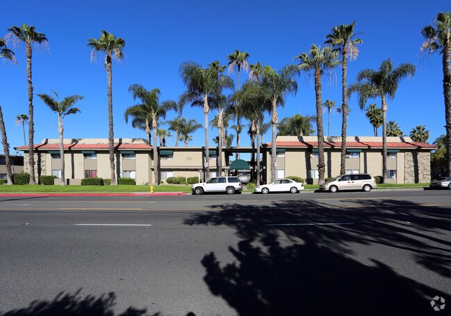 Primary Photo - Palm West Apartments