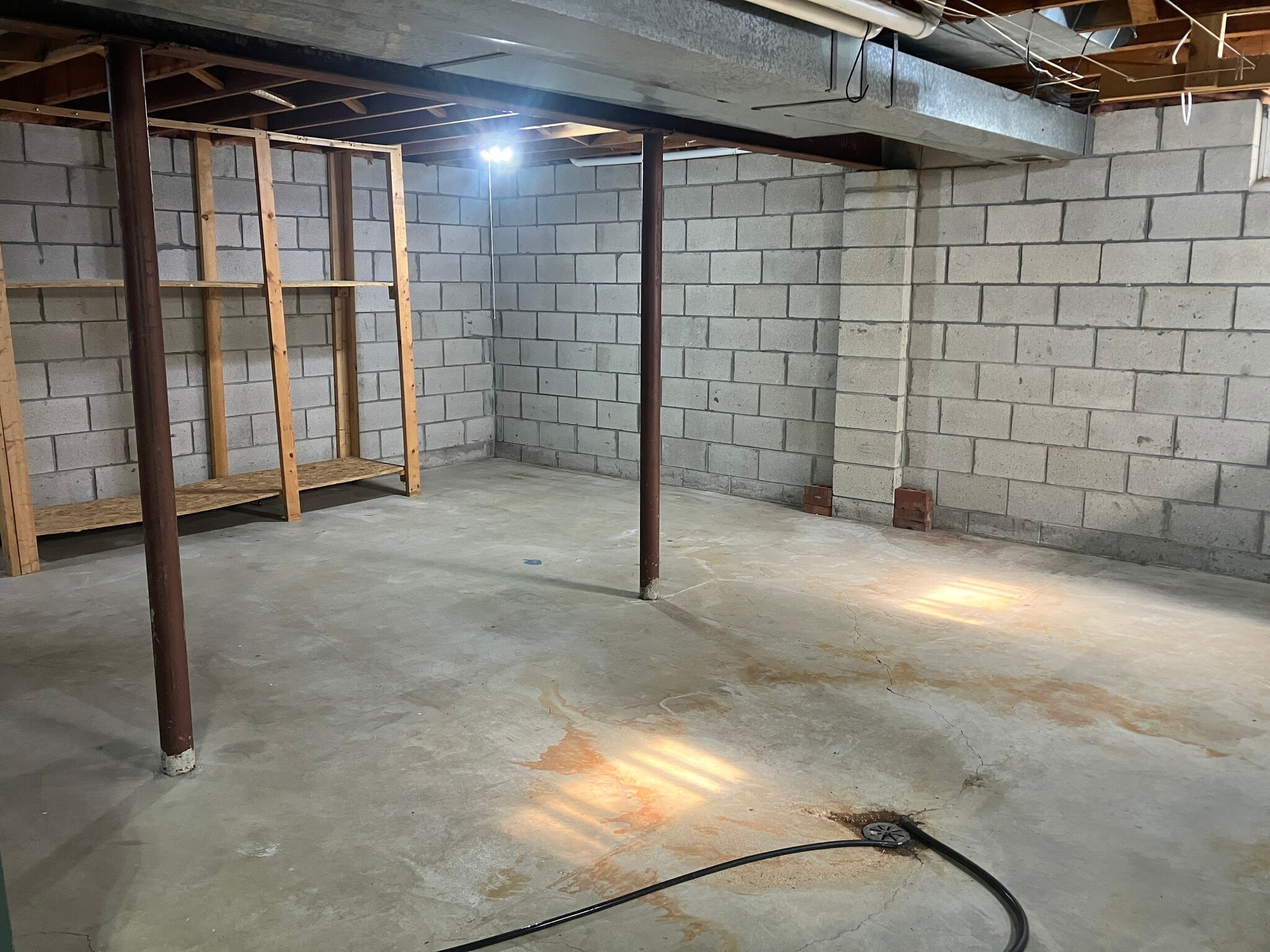 Building Photo - 2709 Albany Ct