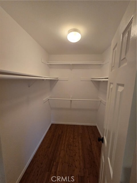 Building Photo - 1920 Maple Ave