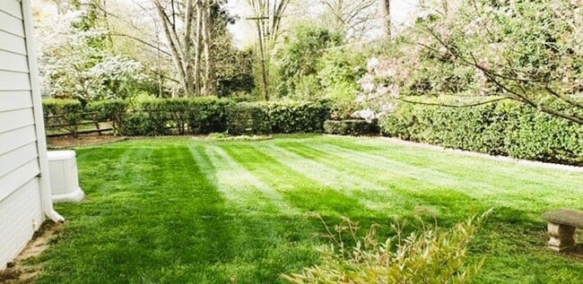 Building Photo - Coming Beginning of June!-Beautiful Home for Rent