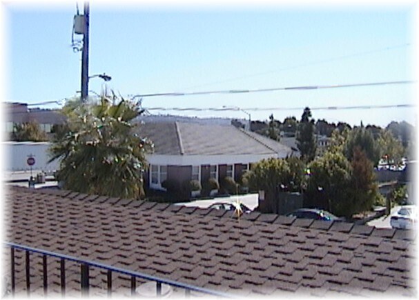 View - 3456 Redwood Ct