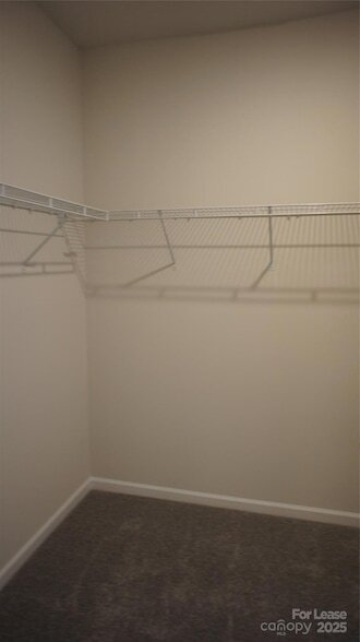 Building Photo - 137 Pampas Pl
