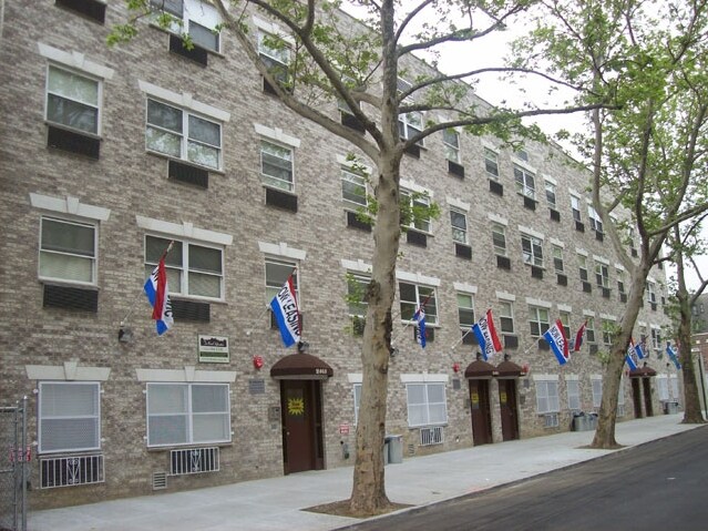 Primary Photo - Little Italy/Fordham University Gardens