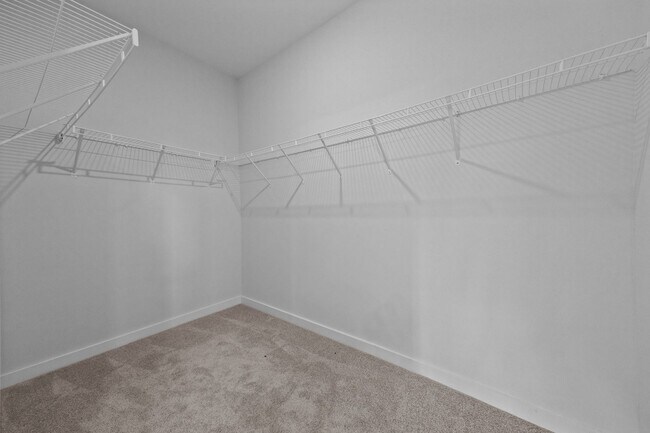 Building Photo - 217 Walker Grv Ln