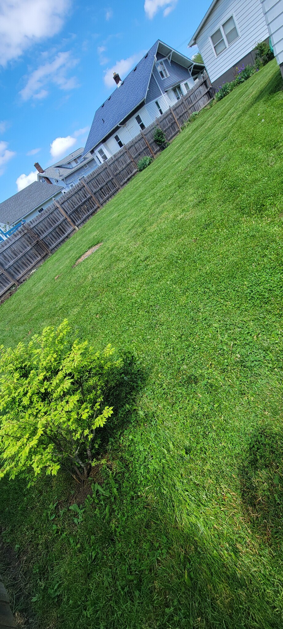 Fully Fenced Backyard - 60 S Vernon St