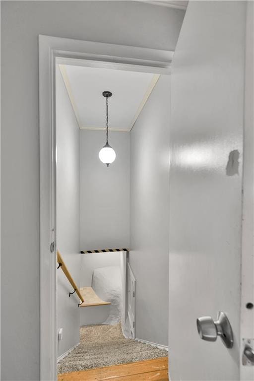 Building Photo - 2301 Echo Hills Cir NE