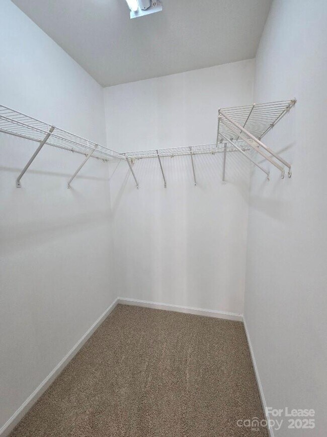 Building Photo - 4021 Fifendrum Ln