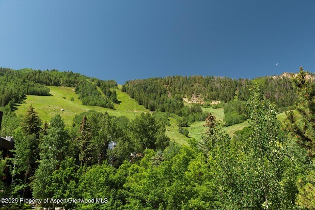 Building Photo - 714 S Galena St