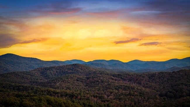 Building Photo - 212 Dogpatch Ln