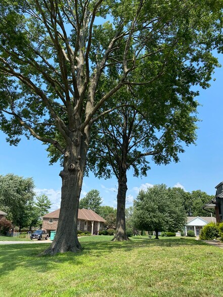 Lawn maintenance provided - 1202 NW 6th St