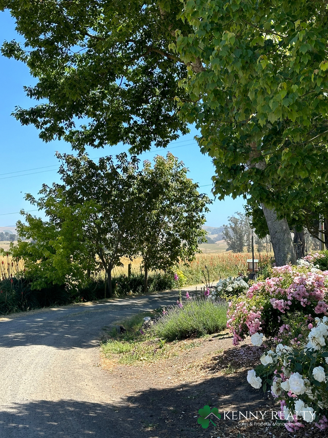 Building Photo - 3 Bedroom, 3 Bathroom Ranch Home in Petaluma