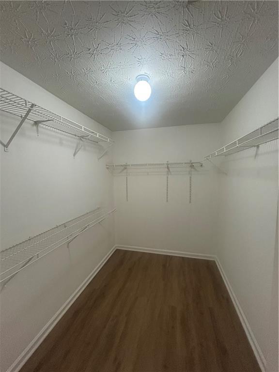 Building Photo - 4197 Grant Forest Cir