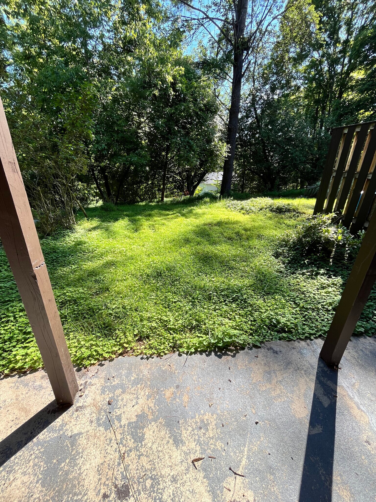 back yard - 2147 Chapel Valley Ln