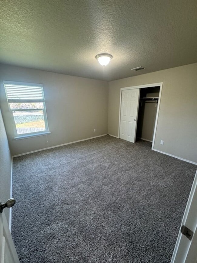 Building Photo - Must See Newly Updated 5/3.5 Home in Alamo...