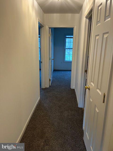 Building Photo - 103 Dobson Ct