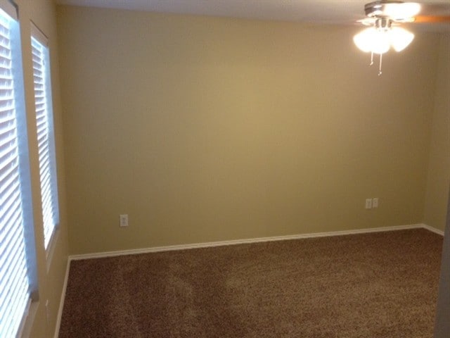 Building Photo - 4005 Freedom St