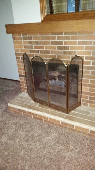 Gas Fireplace - 3506 W Central Park Ave