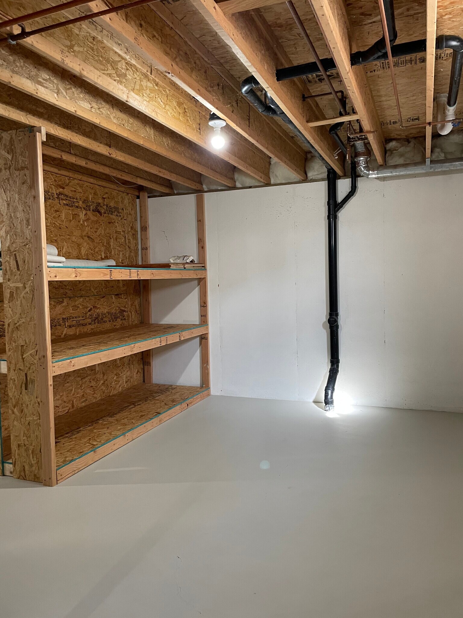 Shelving in basement - 2034 River Point Ct