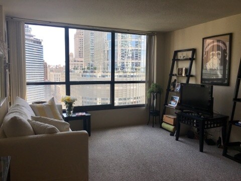 Building Photo - 405 N Wabash Ave