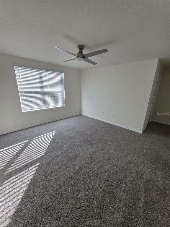 Building Photo - 384 Preston Cv Dr