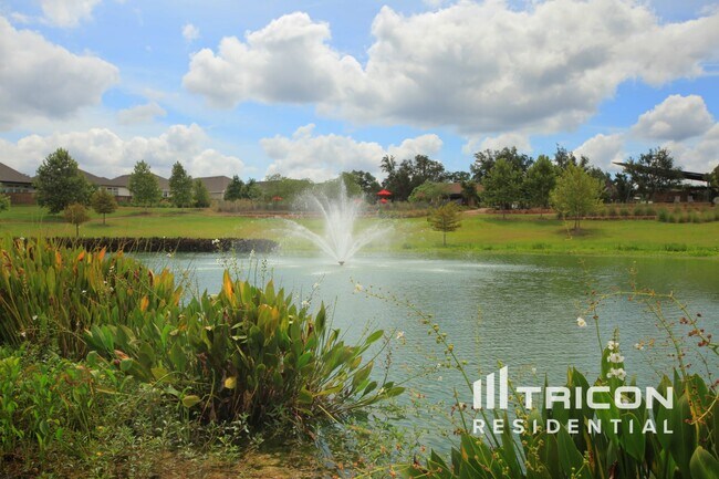 Building Photo - 1705 Mexican Heather Drive Leander TX