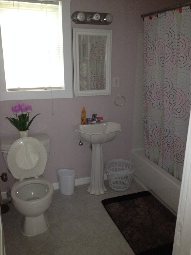 Lower bathroom - 5006 8th Ave NE