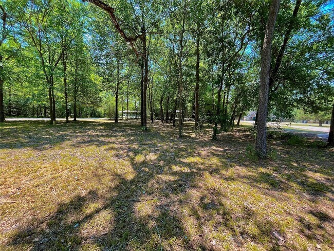 Building Photo - 20 Pine Ave