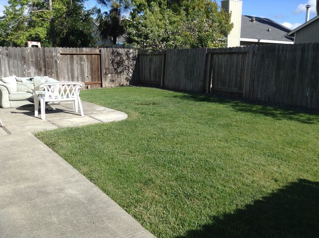 Backyard - 7492 Monet Pl