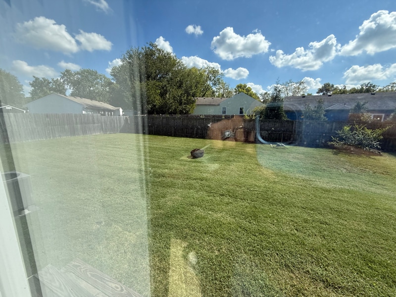 Building Photo - 8920 Thelma Ln