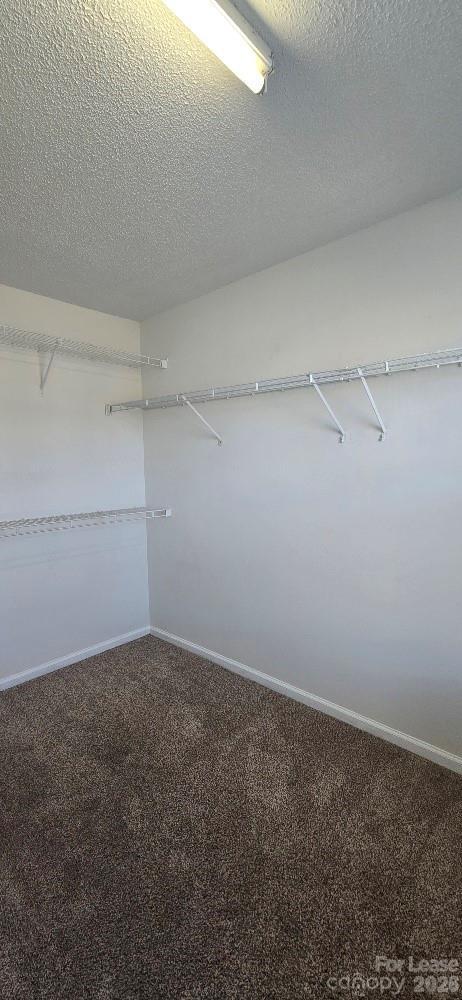 Building Photo - 14109 Southbridge Forest Dr