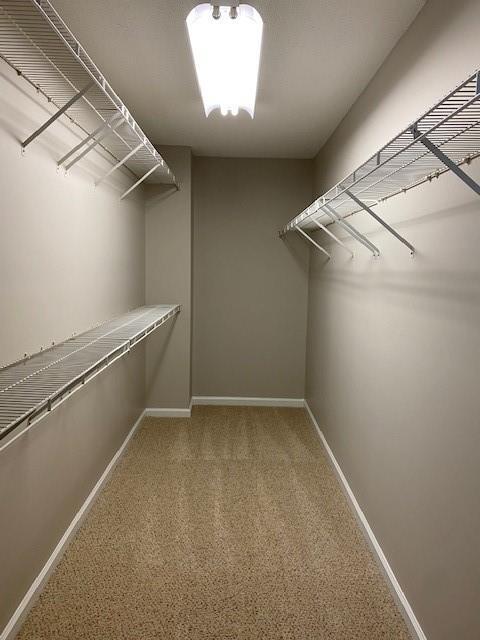 Building Photo - 2588 Davenham Ln