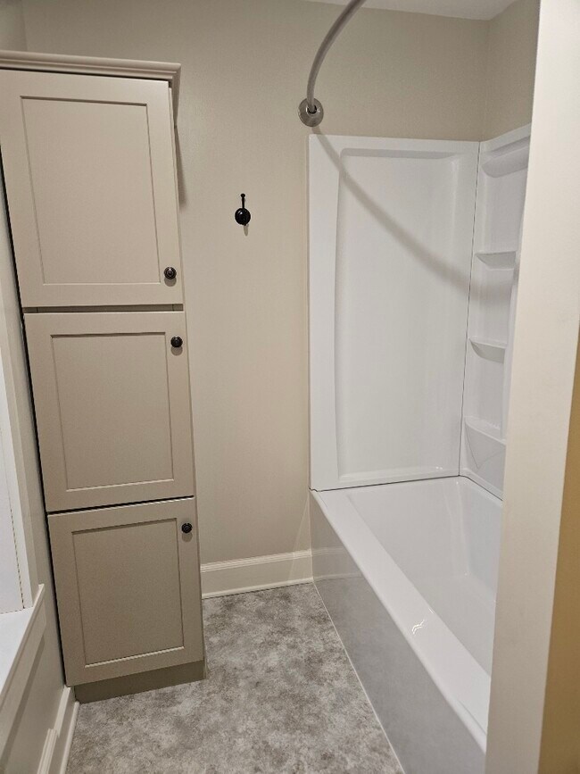 tub/shower - 223 E 10th St