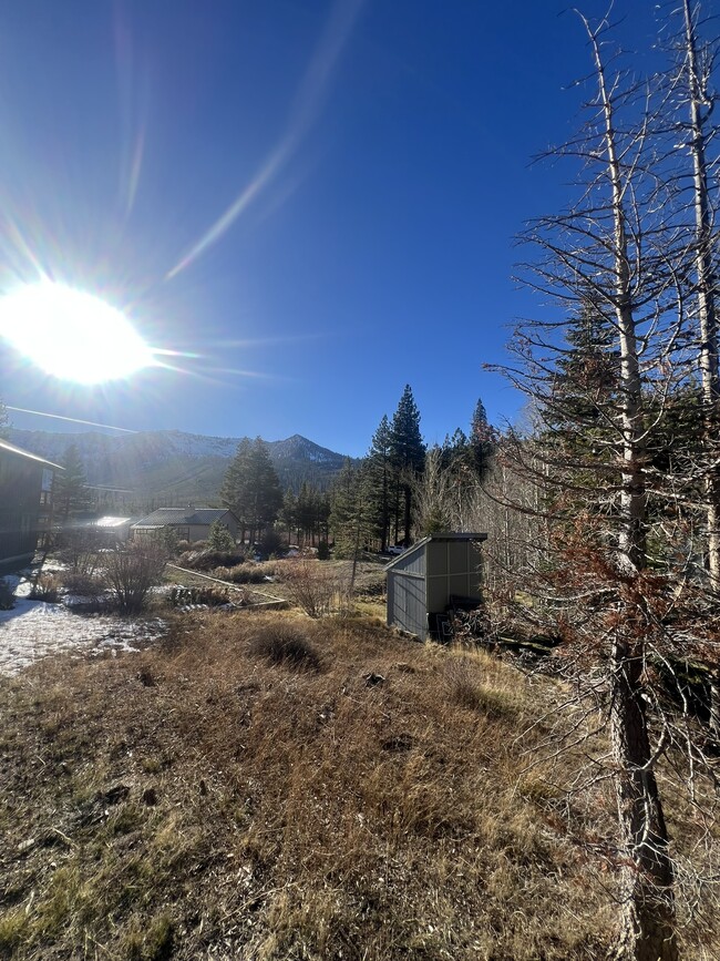 Building Photo - 1215 Mt Shasta Cir