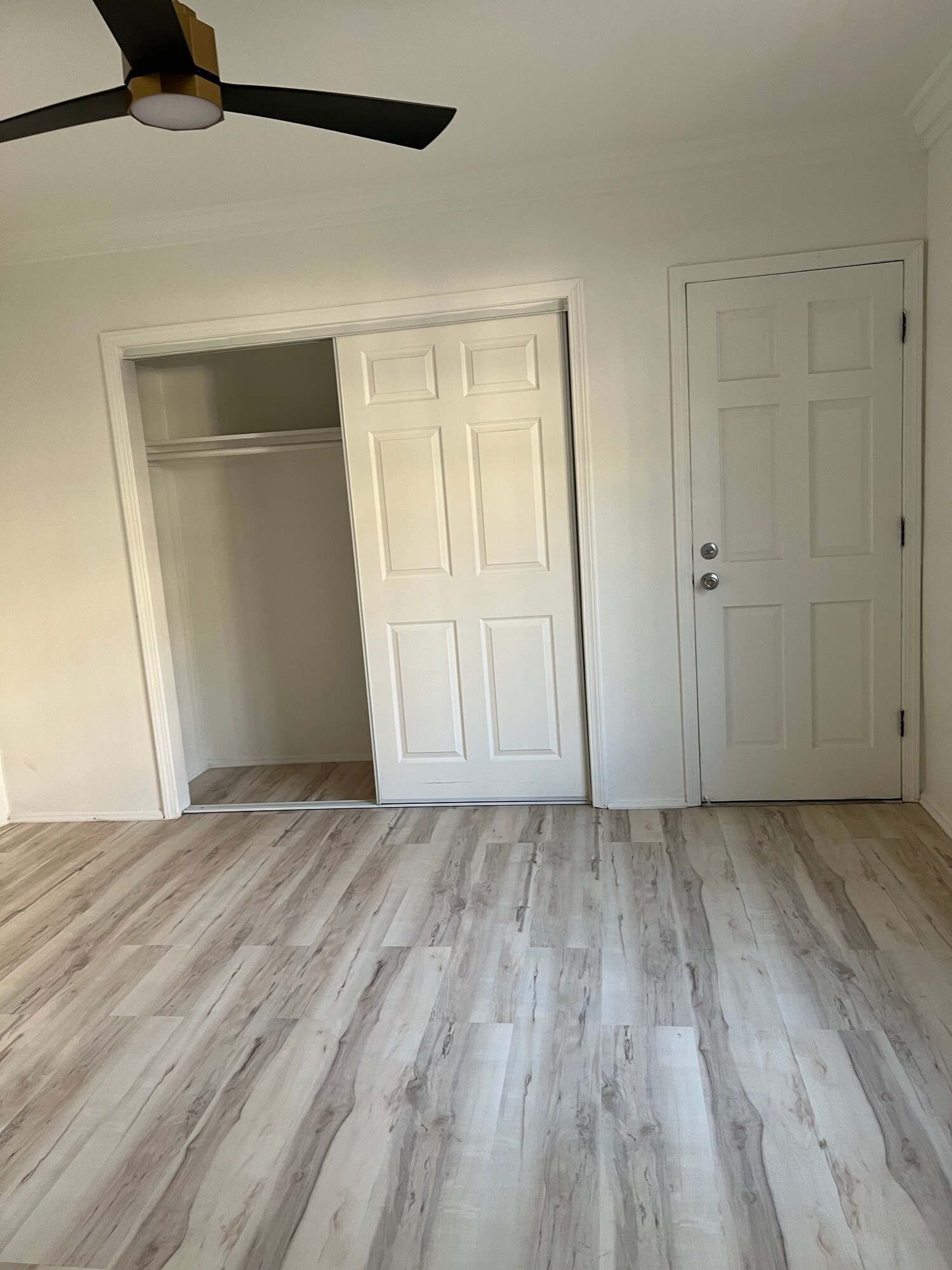 Building Photo - Council Street Apartments