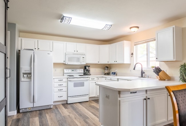 Building Photo - Large 4 Bedroom 2 Bathroom Pet Friendly Home