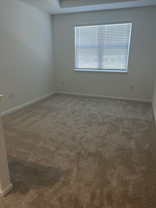 Building Photo - 207 Silver Myrtle Ct