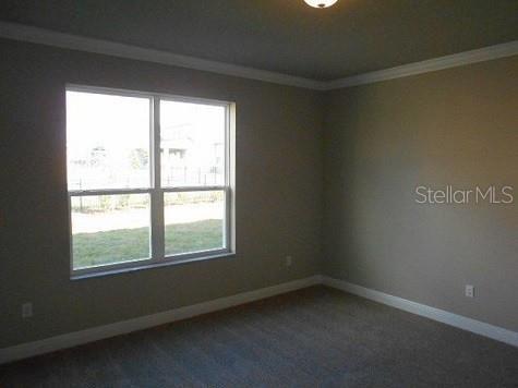 Building Photo - 15604 Starling Crossing Dr