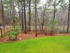 Building Photo - 137 Sedgewood Ct
