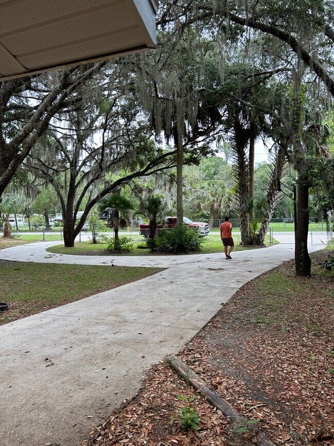 Mature landscaping - 110 Park St