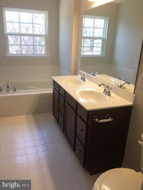 Building Photo - 172 Mulberry Dr