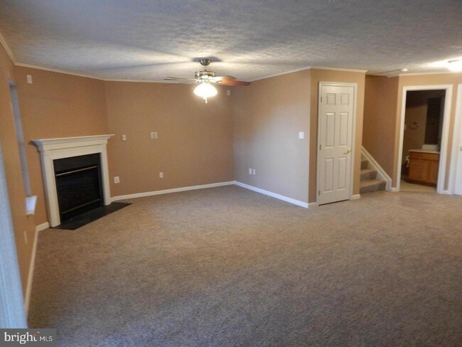 Building Photo - 1983 Cullen Way