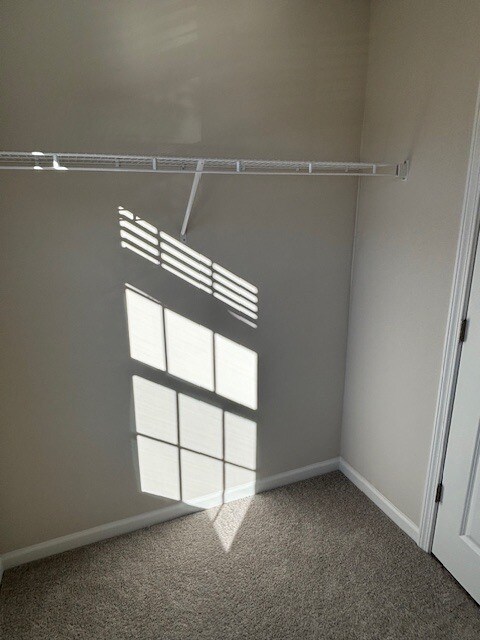 Building Photo - 304 Detroit Ln