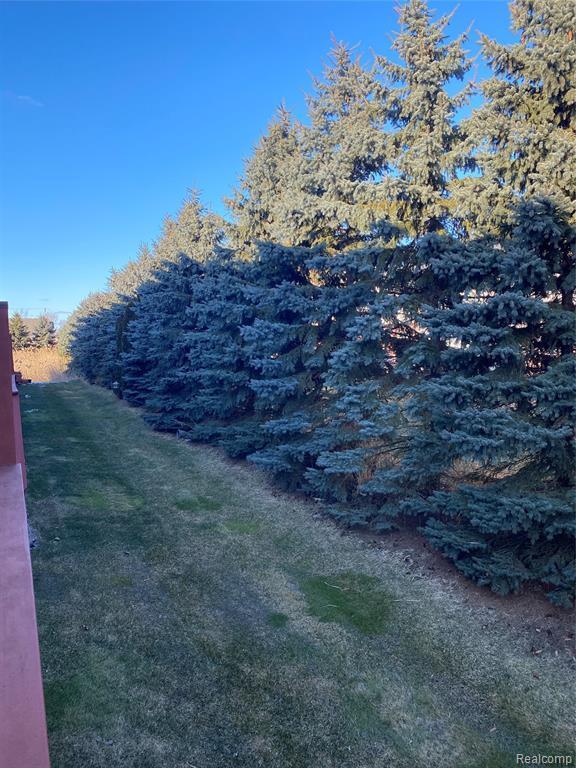 Building Photo - 1046 Lorenzo Ct