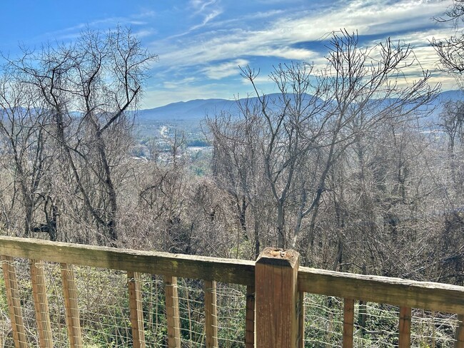 Building Photo - Central AVL - It's all about the view!!!