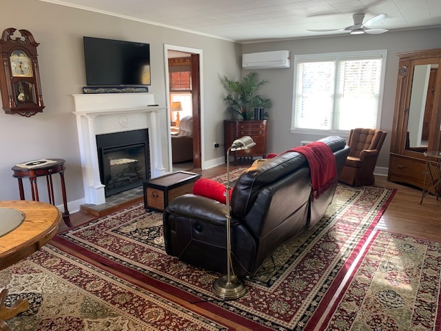 LR with fireplace, leather reclining sofa, new rugs - 69 1st St